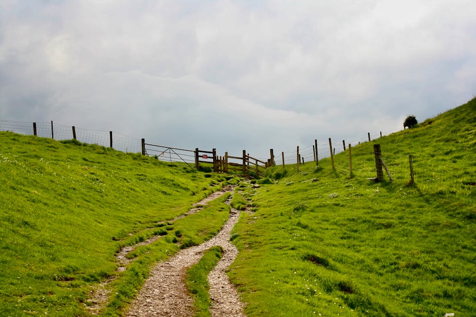 Peak District - picturesque path through lush green hills in Castleton