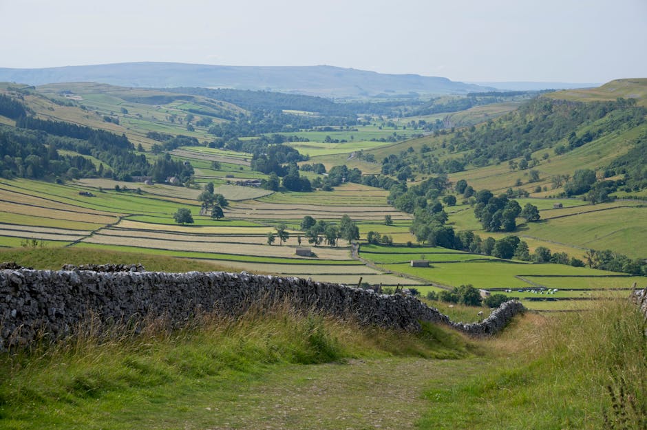 Peak District - rolling hills and fields in English countryside