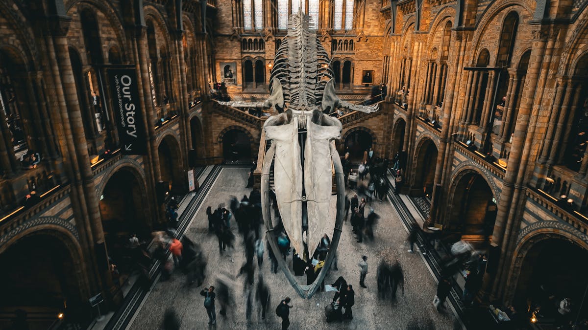 eta uk visto differenza famiglia guida italiani